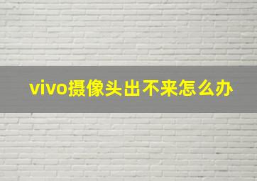 vivo摄像头出不来怎么办