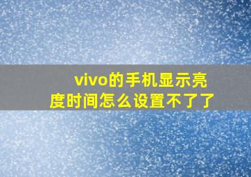 vivo的手机显示亮度时间怎么设置不了了