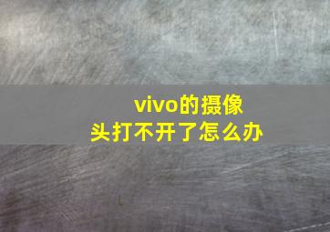 vivo的摄像头打不开了怎么办