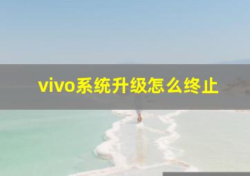 vivo系统升级怎么终止