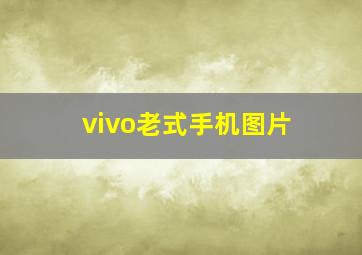 vivo老式手机图片