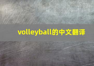 volleyball的中文翻译