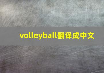 volleyball翻译成中文