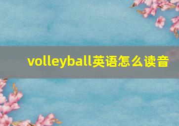 volleyball英语怎么读音