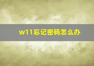 w11忘记密码怎么办