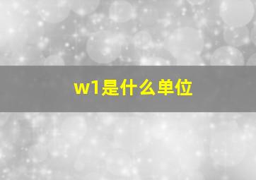 w1是什么单位