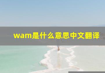 wam是什么意思中文翻译