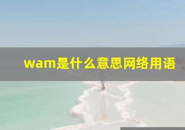 wam是什么意思网络用语