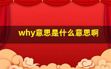 why意思是什么意思啊