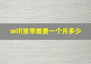 wifi宽带缴费一个月多少