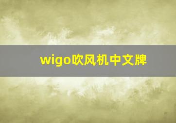 wigo吹风机中文牌