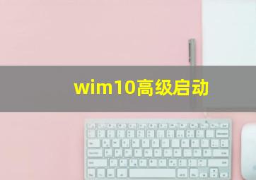 wim10高级启动