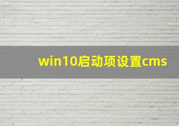 win10启动项设置cms