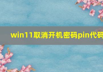 win11取消开机密码pin代码