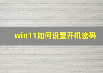 win11如何设置开机密码