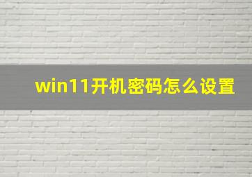 win11开机密码怎么设置