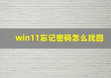 win11忘记密码怎么找回