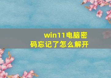 win11电脑密码忘记了怎么解开