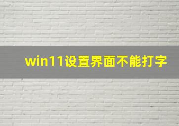 win11设置界面不能打字