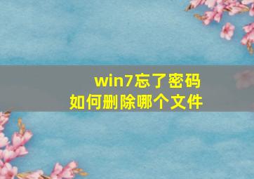 win7忘了密码如何删除哪个文件