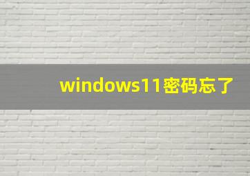 windows11密码忘了