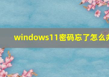 windows11密码忘了怎么办