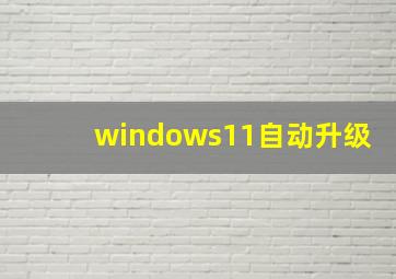 windows11自动升级