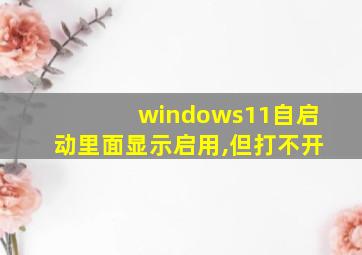 windows11自启动里面显示启用,但打不开