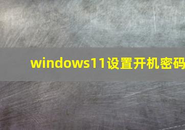 windows11设置开机密码