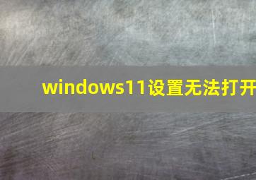 windows11设置无法打开