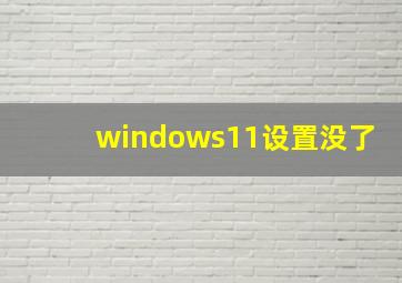 windows11设置没了