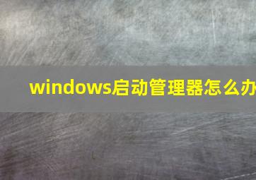 windows启动管理器怎么办