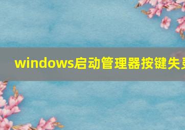 windows启动管理器按键失灵