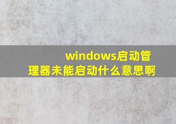 windows启动管理器未能启动什么意思啊