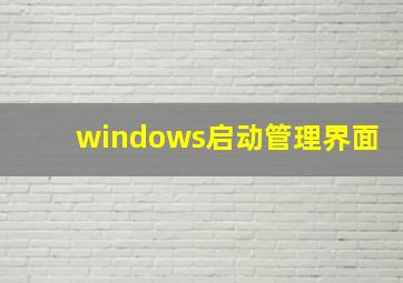 windows启动管理界面