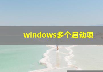 windows多个启动项