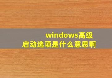 windows高级启动选项是什么意思啊