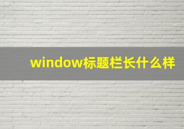 window标题栏长什么样