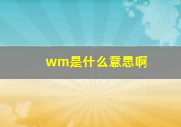 wm是什么意思啊