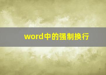 word中的强制换行