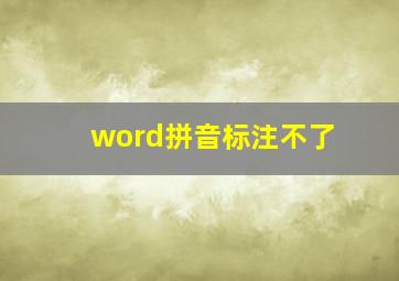 word拼音标注不了