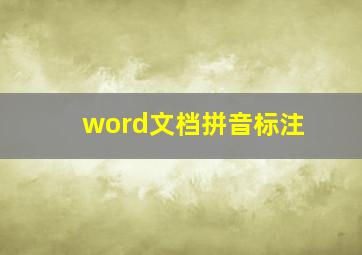 word文档拼音标注