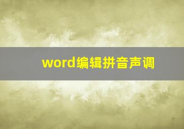 word编辑拼音声调