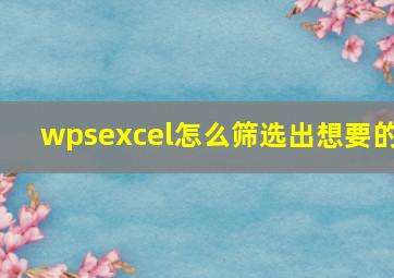 wpsexcel怎么筛选出想要的