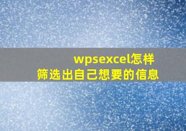 wpsexcel怎样筛选出自己想要的信息