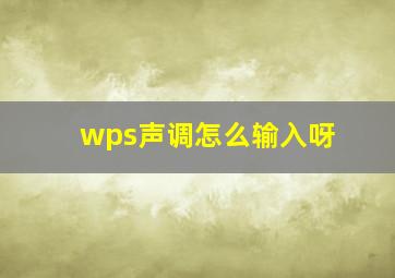 wps声调怎么输入呀