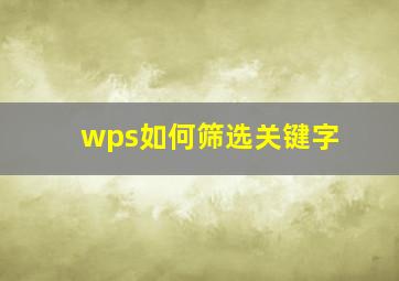 wps如何筛选关键字