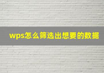 wps怎么筛选出想要的数据