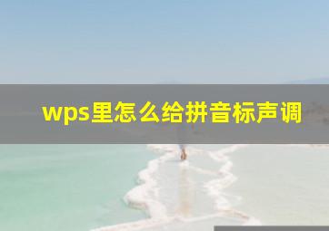 wps里怎么给拼音标声调