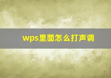 wps里面怎么打声调